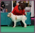 09-03-12 M GoodAsGold_IMG_9663